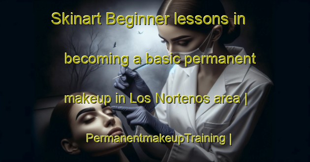 Skinart Beginner lessons in becoming a basic permanent makeup in Los Nortenos area | PermanentmakeupTraining | PermanentmakeupClasses | SkinartTraining-Mexico